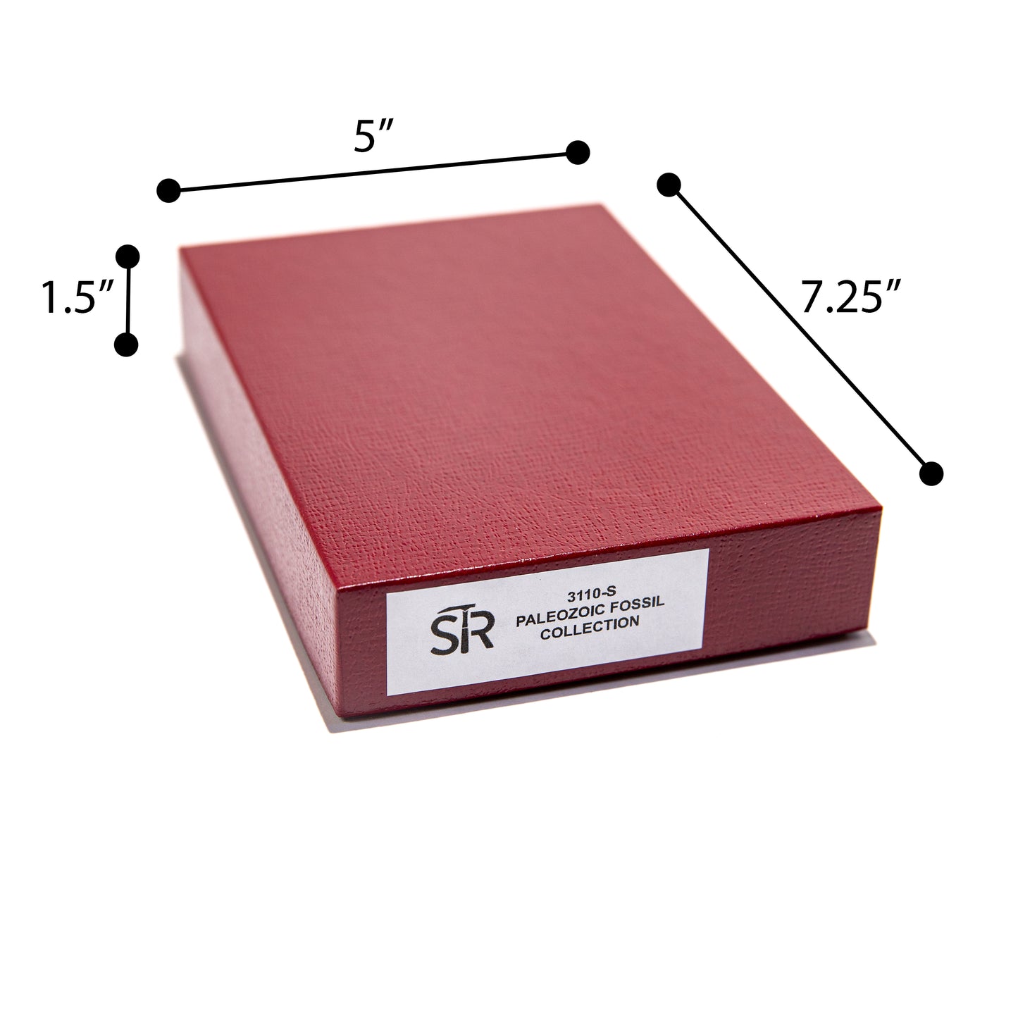 3110-S - PALEOZOIC FOSSILS COLLECTION 15 SPEC.