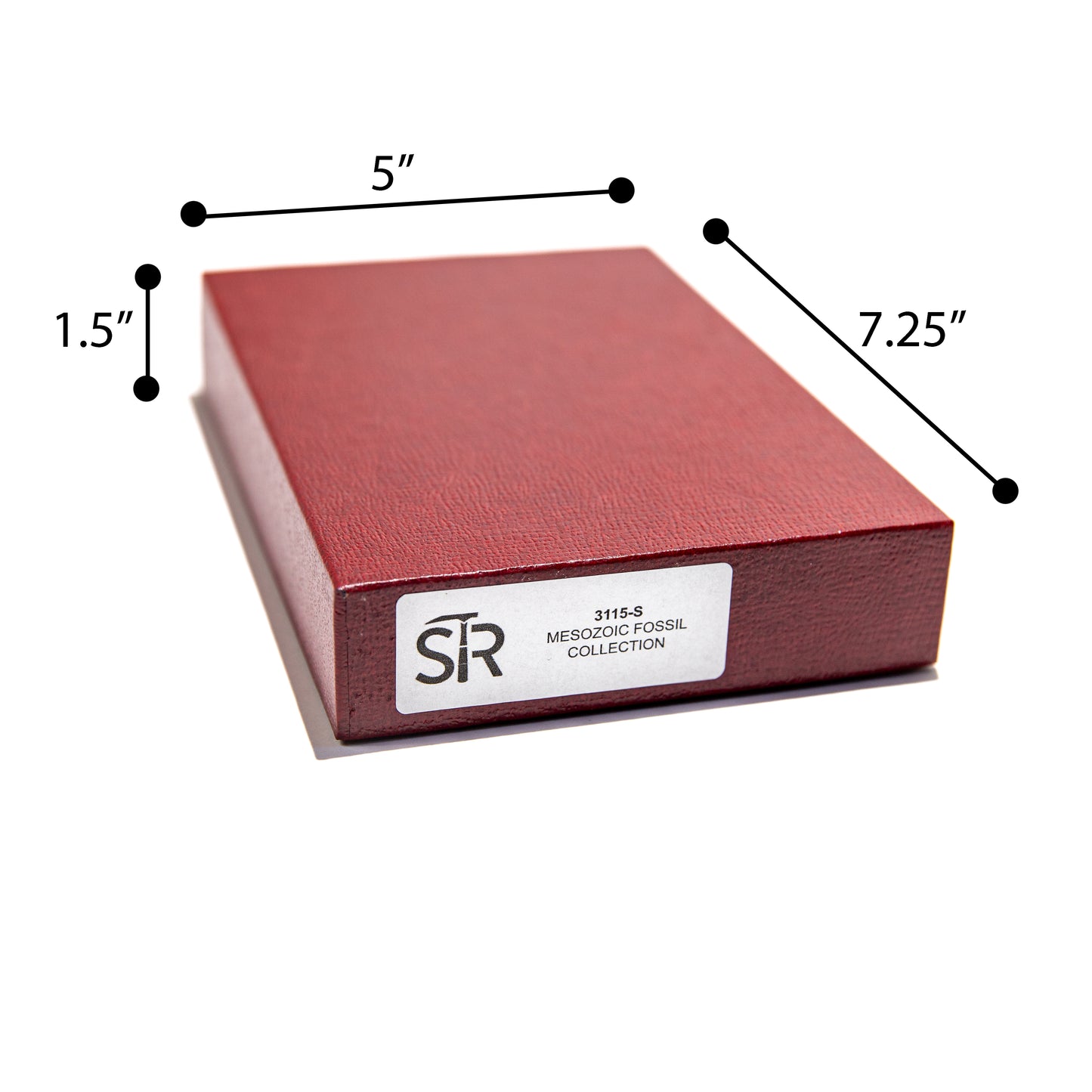 3115-S - MESOZOIC FOSSILS COLLECTION 15 SPEC.