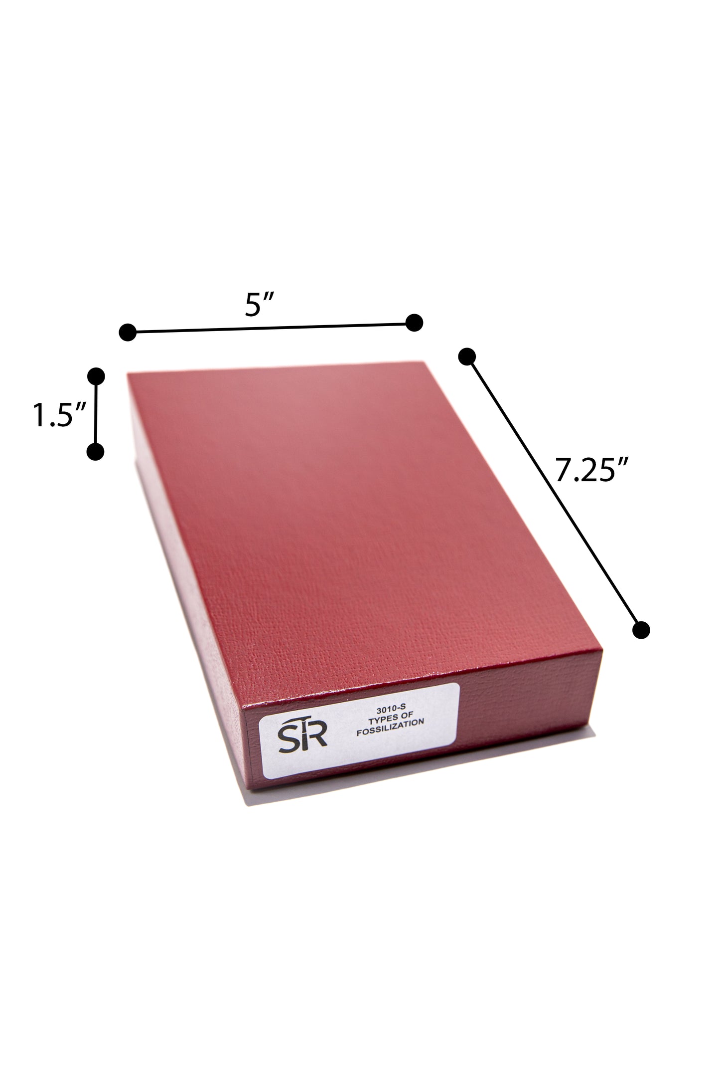 3010-S - TYPES OF FOSSILIZATION COLLECTION - 15 SPEC.