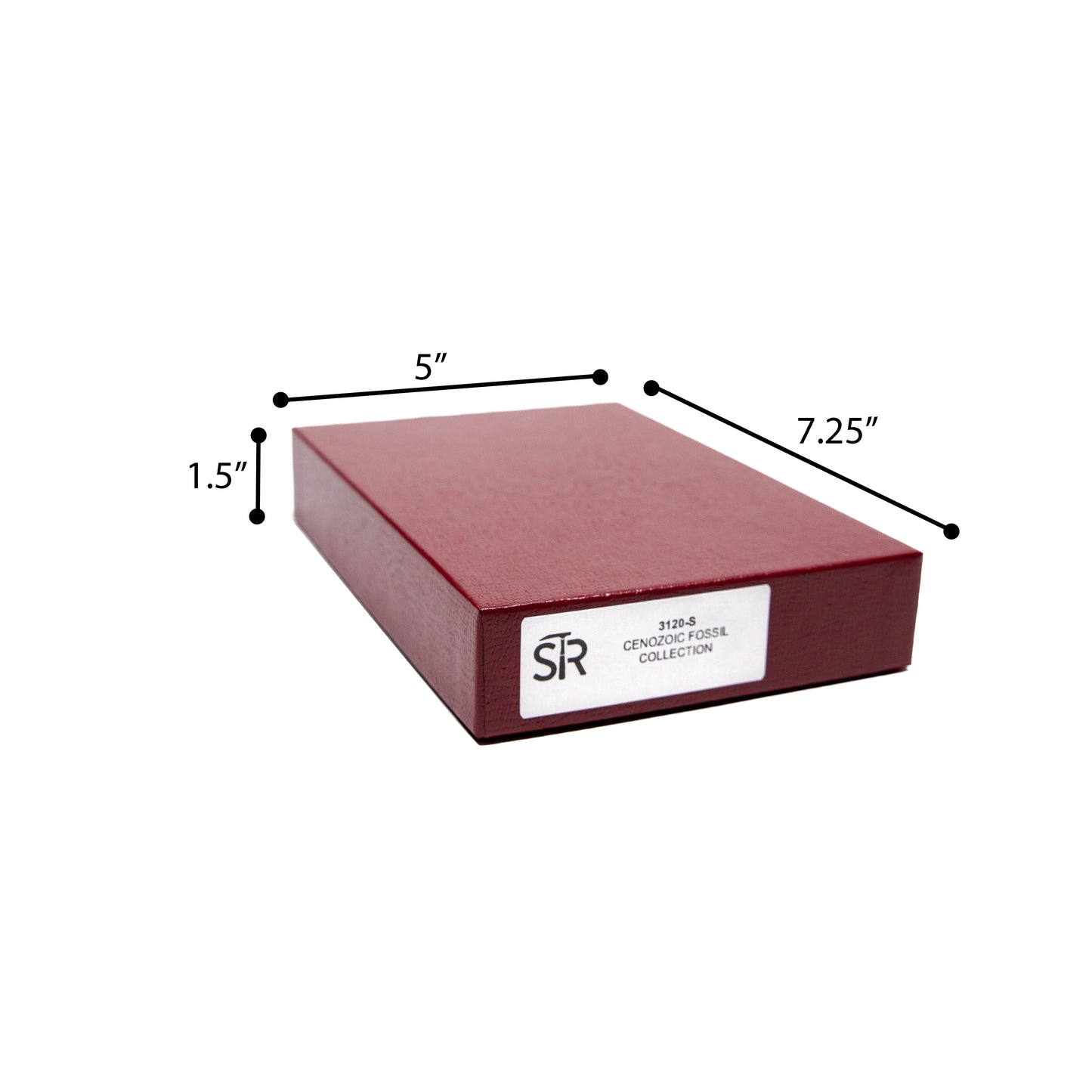 3120-S - CENOZOIC FOSSILS COLLECTION 15 SPEC.