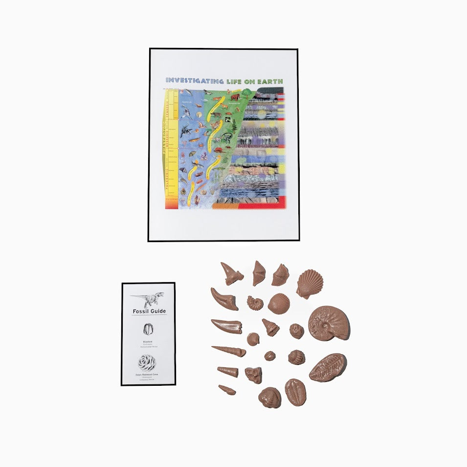 567 - INVESTIGATING LIFE ON EARTH A FOSSIL HISTORY CLASSROOM PROJECT