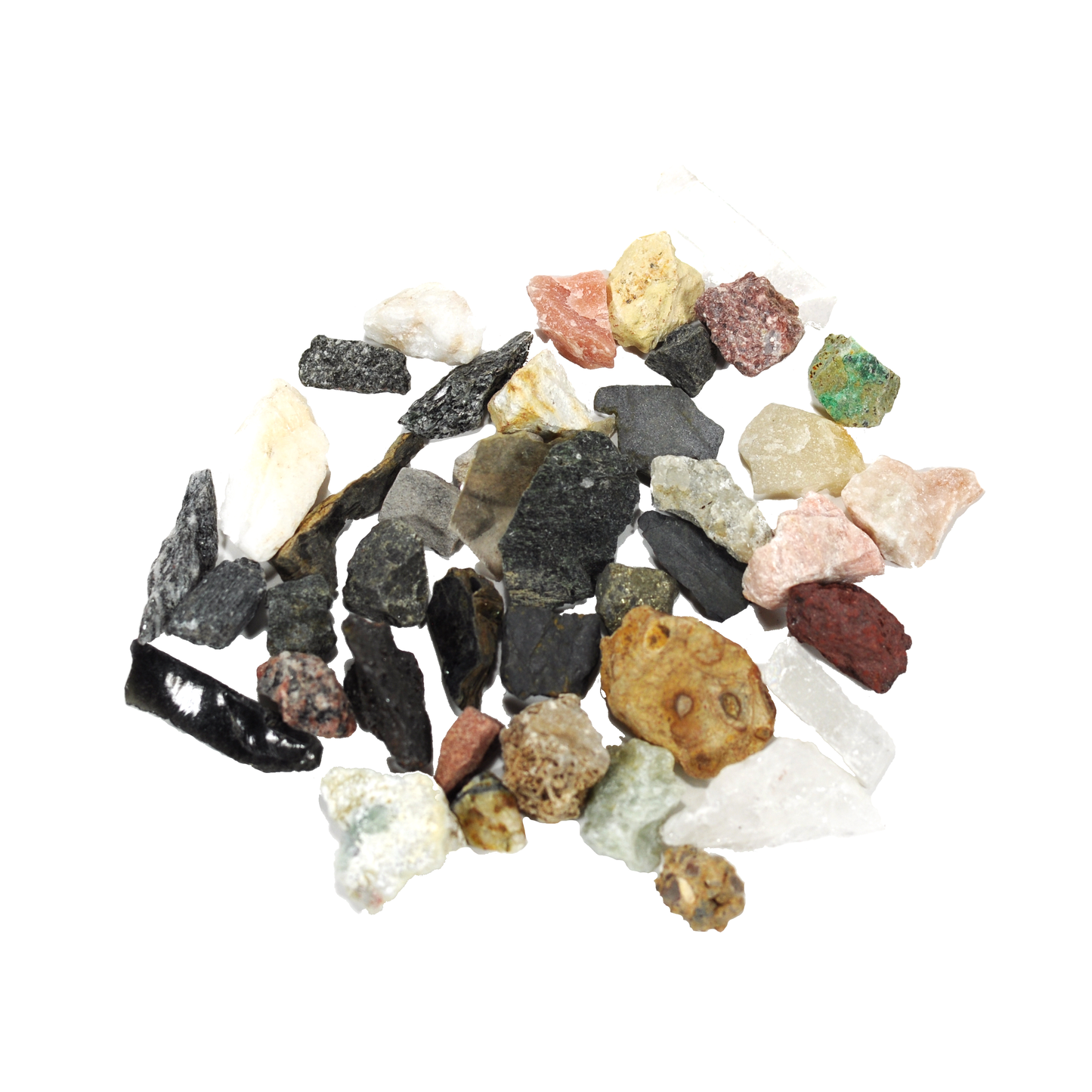 2141 - WASHINGTON STUDENT COLLECTION - 40 SPEC.