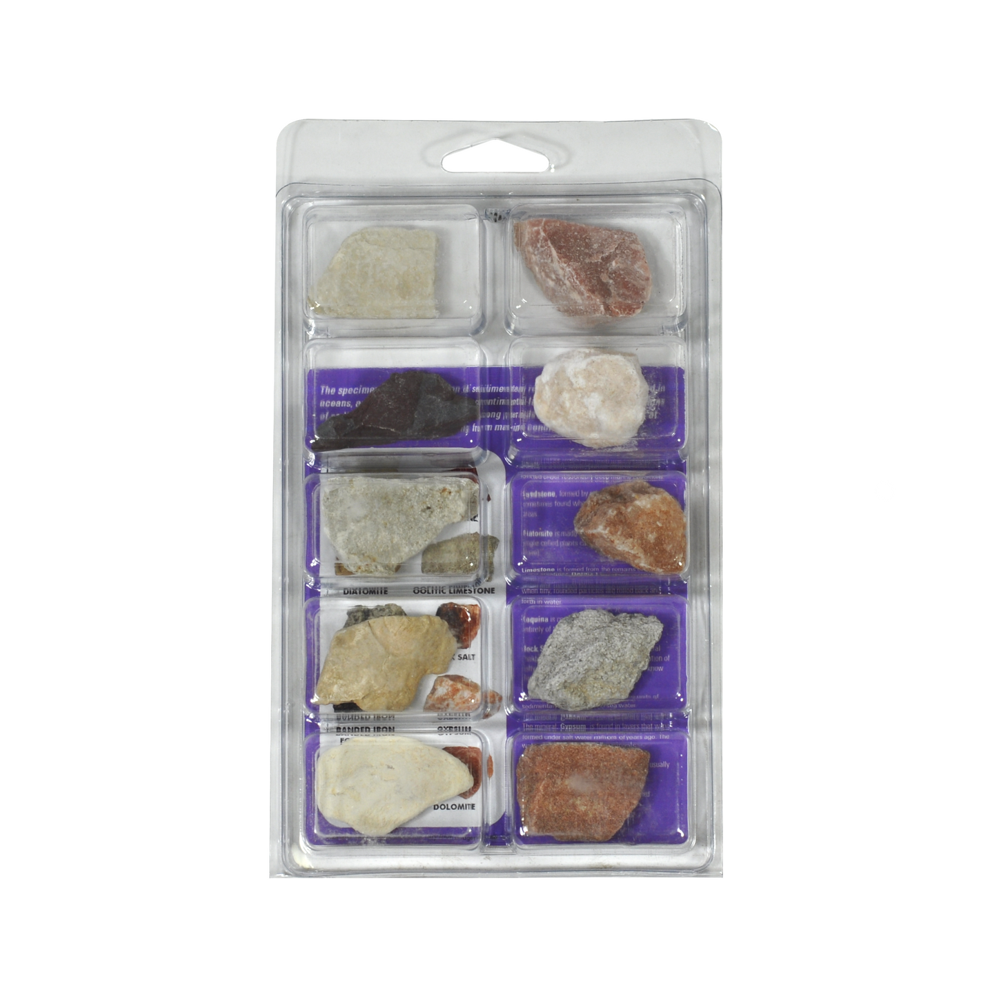 2966 - EXPLORE WITH ME 10 SPECIMEN OCEANIC ROCKS COLLECTION