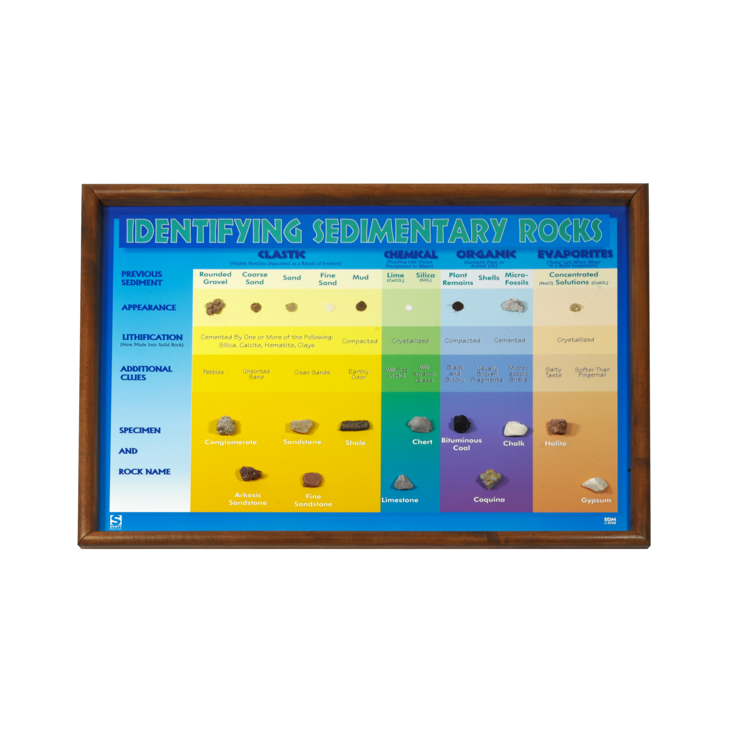 2516 - IDENTIFYING SEDIMENTARY ROCKS CHART - 21 SPEC.