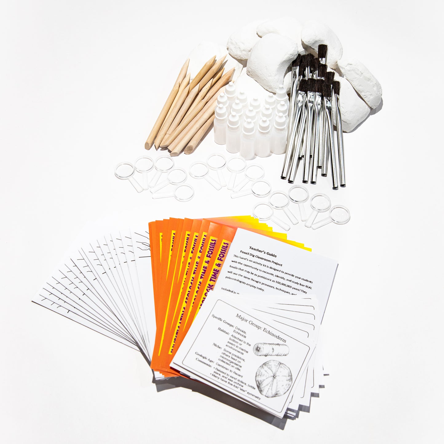 3770 - FOSSIL DIG CLASSROOM PROJECT