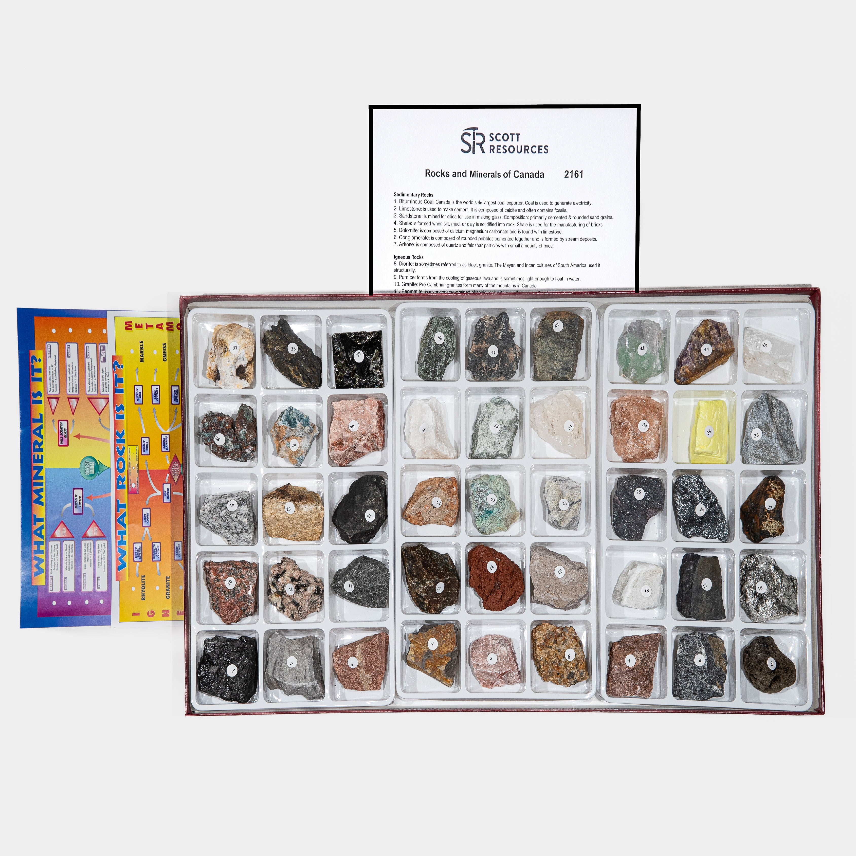 2161-3.jpg?v=1709040294&width=1920