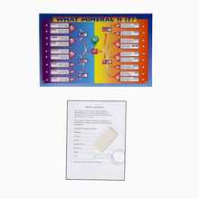Load image into Gallery viewer, 2343 - ECONOMY MINERAL STUDY KIT - 15 SPEC.
