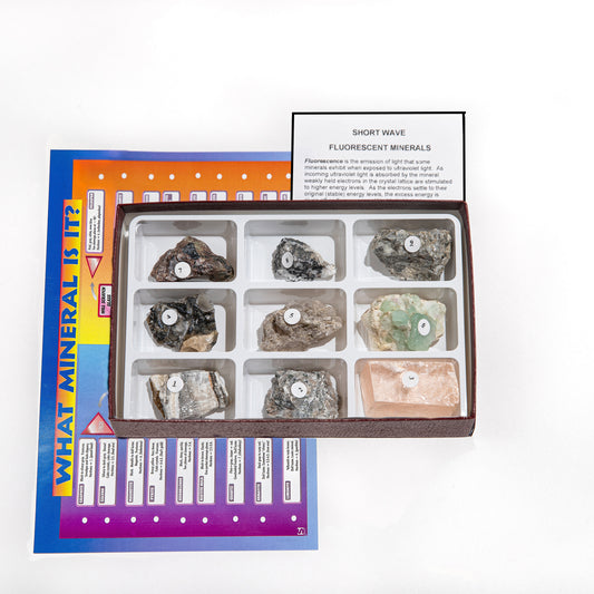 2381 - SHORT WAVE FLUORESCENT MINERALS - 9 SPEC.