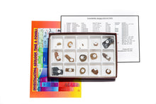Load image into Gallery viewer, 3110-S - PALEOZOIC FOSSILS COLLECTION 15 SPEC.
