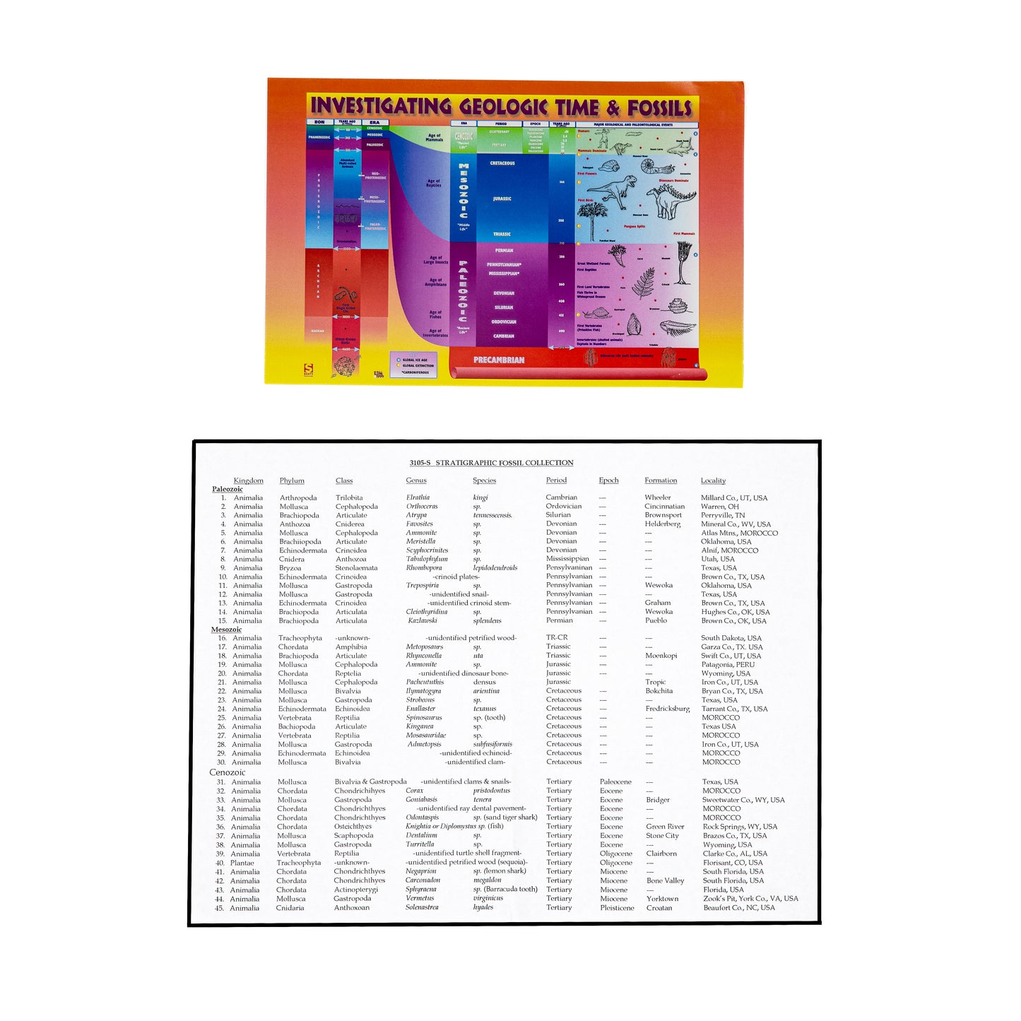 3105-S - STRATIGRAPHIC COLLECTION 45 SPEC.