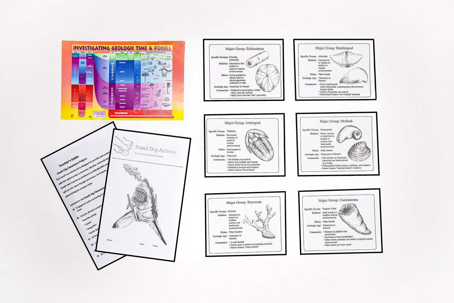 3770 - FOSSIL DIG CLASSROOM PROJECT
