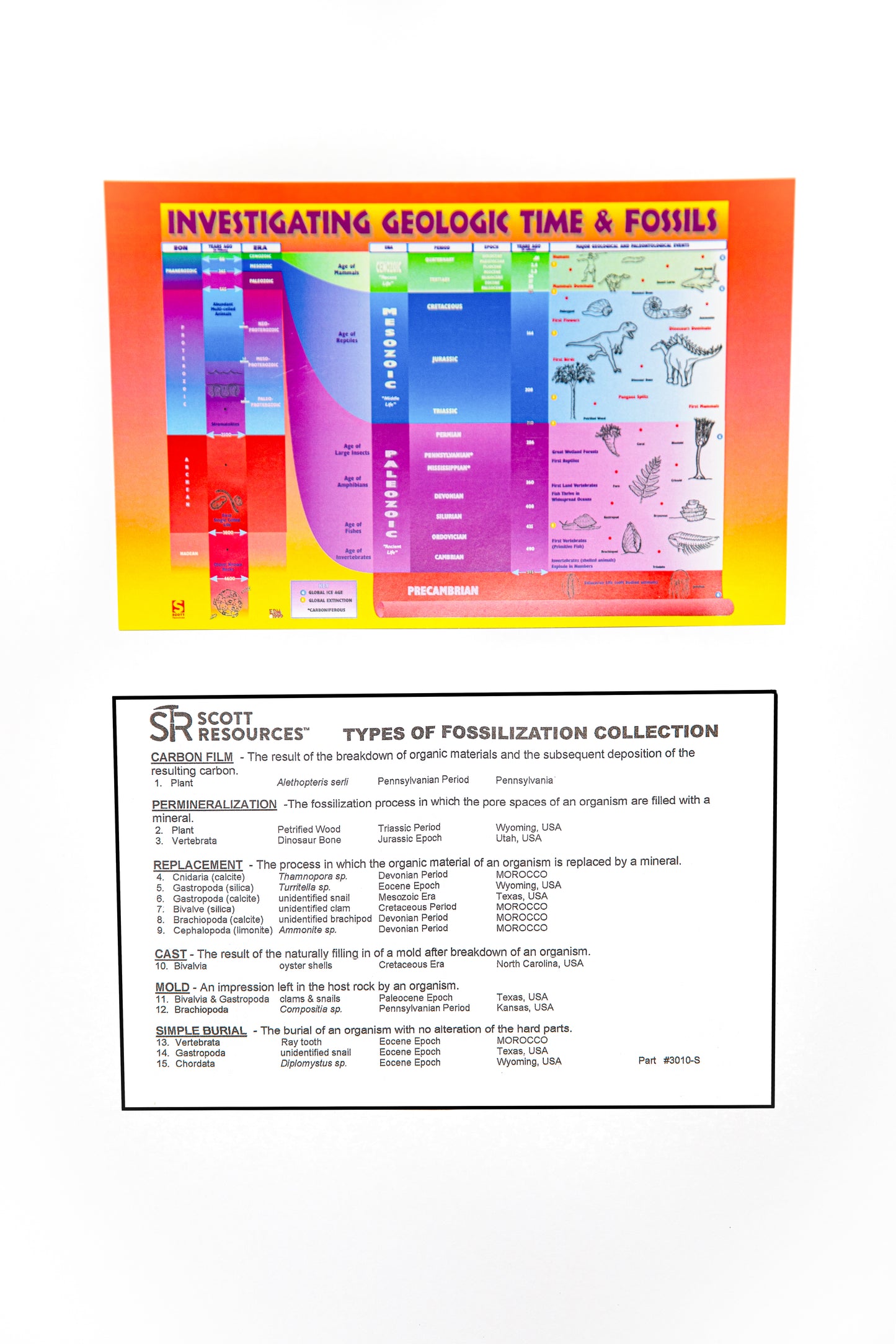 3010-S - TYPES OF FOSSILIZATION COLLECTION - 15 SPEC.