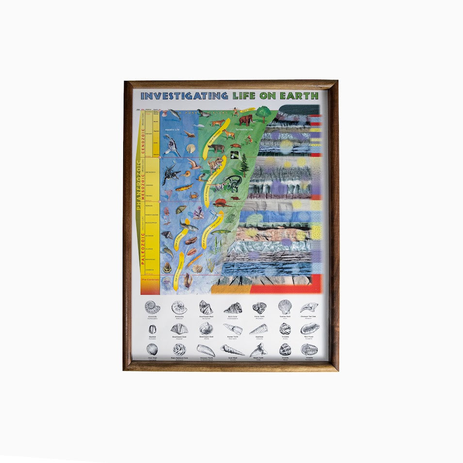 567 - INVESTIGATING LIFE ON EARTH A FOSSIL HISTORY CLASSROOM PROJECT