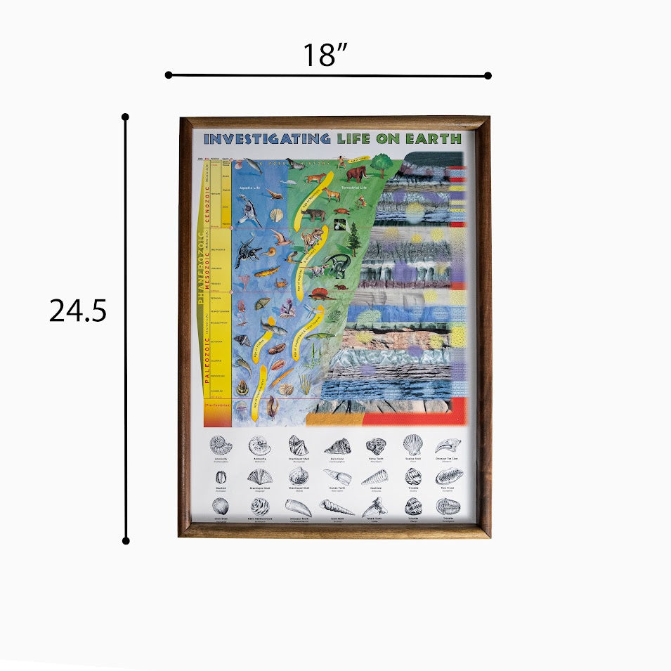567 - INVESTIGATING LIFE ON EARTH A FOSSIL HISTORY CLASSROOM PROJECT