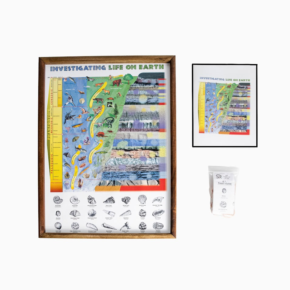 567 - INVESTIGATING LIFE ON EARTH A FOSSIL HISTORY CLASSROOM PROJECT