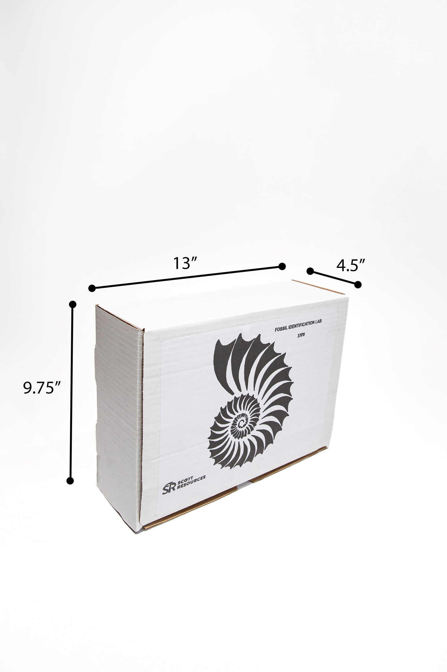 3770 - FOSSIL DIG CLASSROOM PROJECT