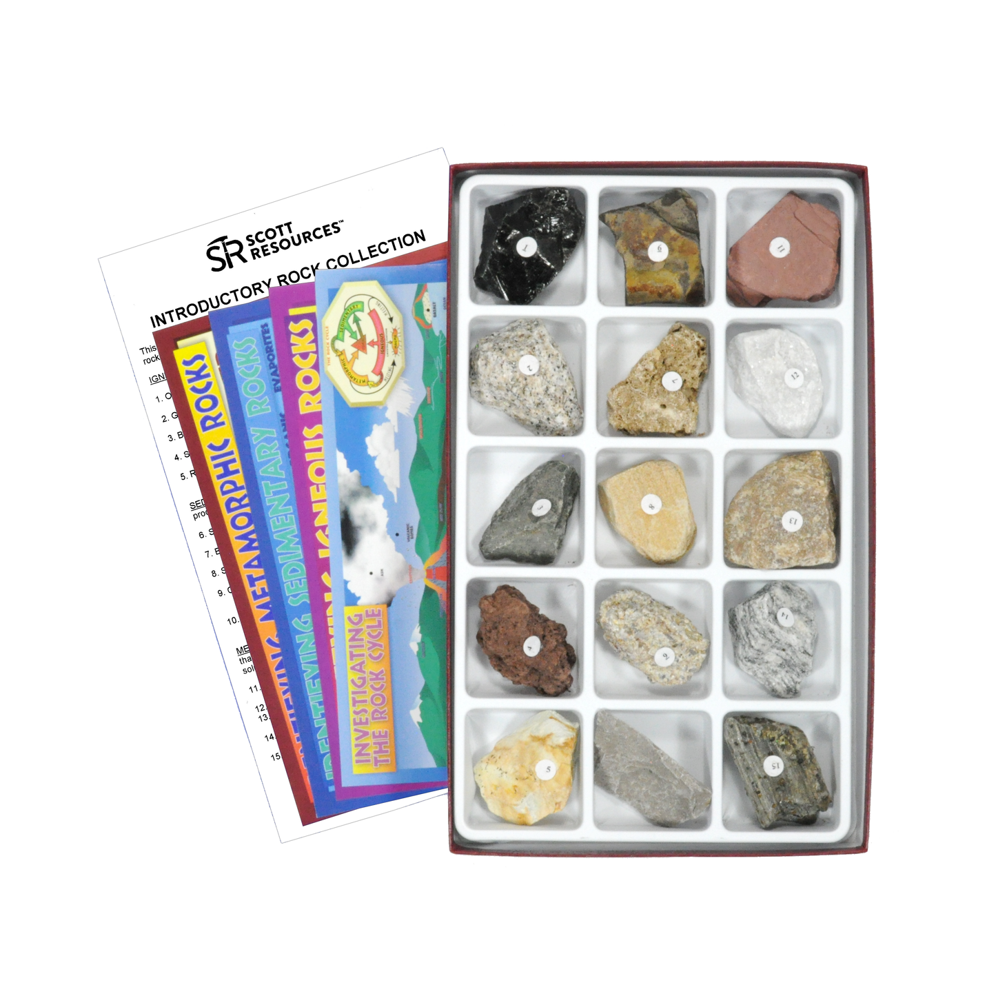 2215 - INTRODUCTORY ROCK COLLECTION - 15 SPEC.