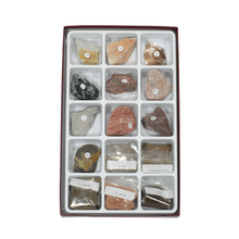 Load image into Gallery viewer, 2240 - HOW SOILS ARE FORMED  COLLECTION - 15 SPEC.
