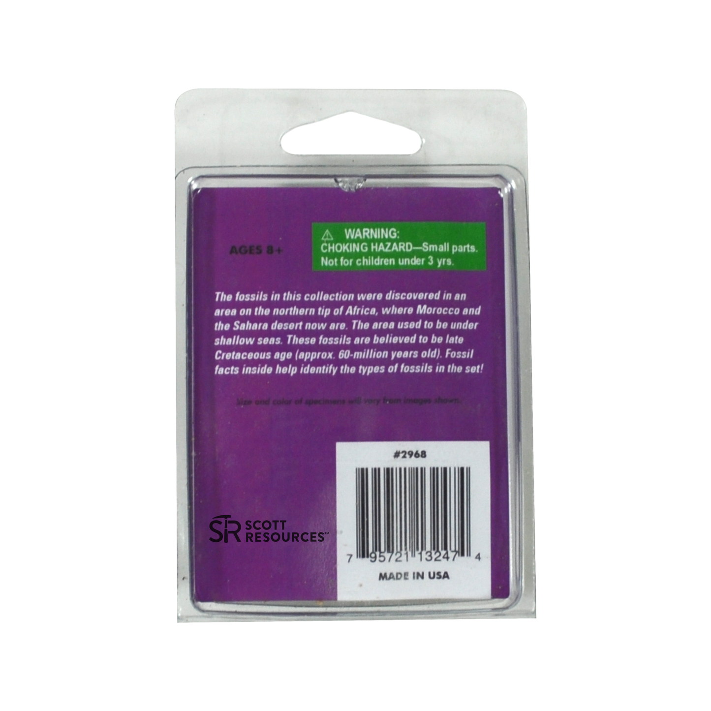 2968 - EXPLORE WITH ME  GEOLOGY® OCEANIC FOSSIL ASSORTMENT