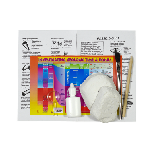 3780 - EXPLORE WITH ME FOSSIL DIG COLLECTION