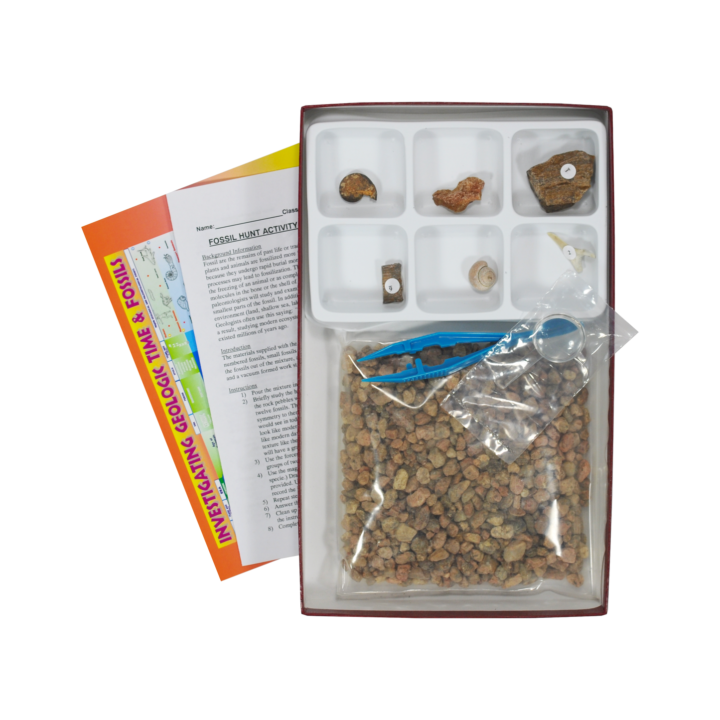 3785 - FOSSIL HUNT KIT